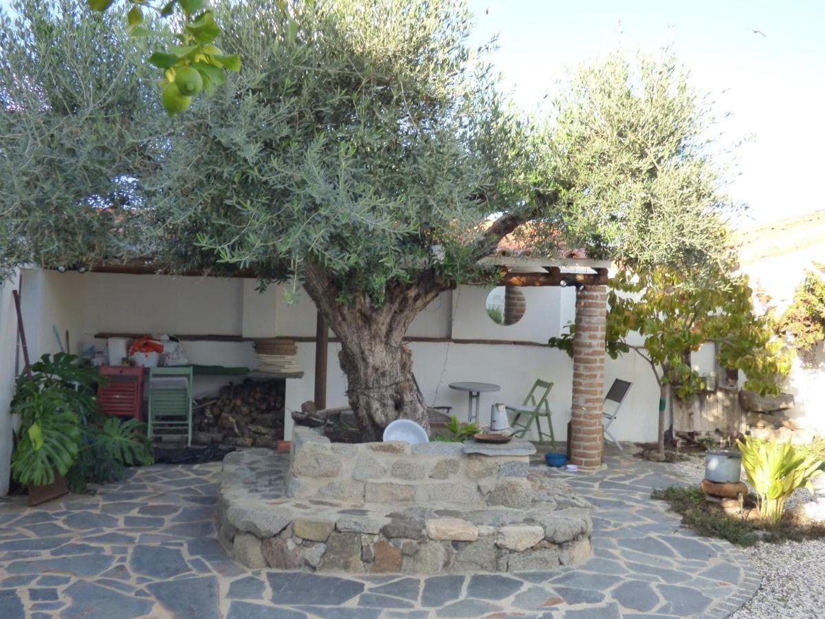 Solar Da Cumeada Bed & Breakfast Reguengos de Monsaraz Exterior photo