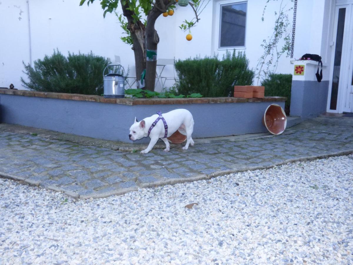 Solar Da Cumeada Bed & Breakfast Reguengos de Monsaraz Exterior photo